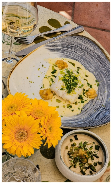 Le Restaurant - Le Patio - Restaurant Nice - restaurant Provencal NICE