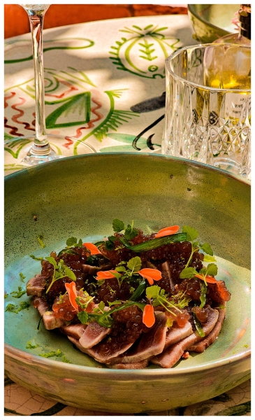 Le Restaurant - Le Patio - Restaurant Nice - restaurant Français NICE